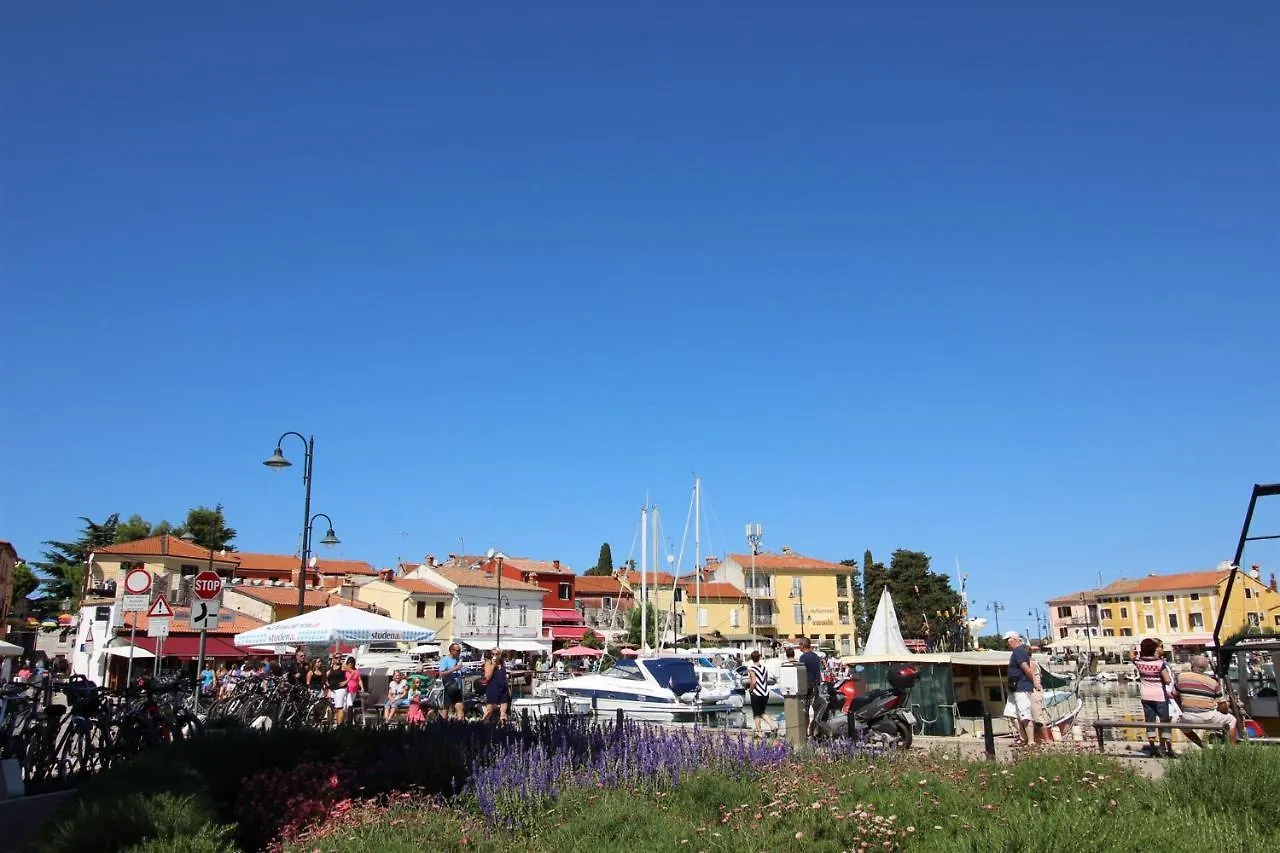 Gianna A4+2 Apartment Novigrad  Croatia